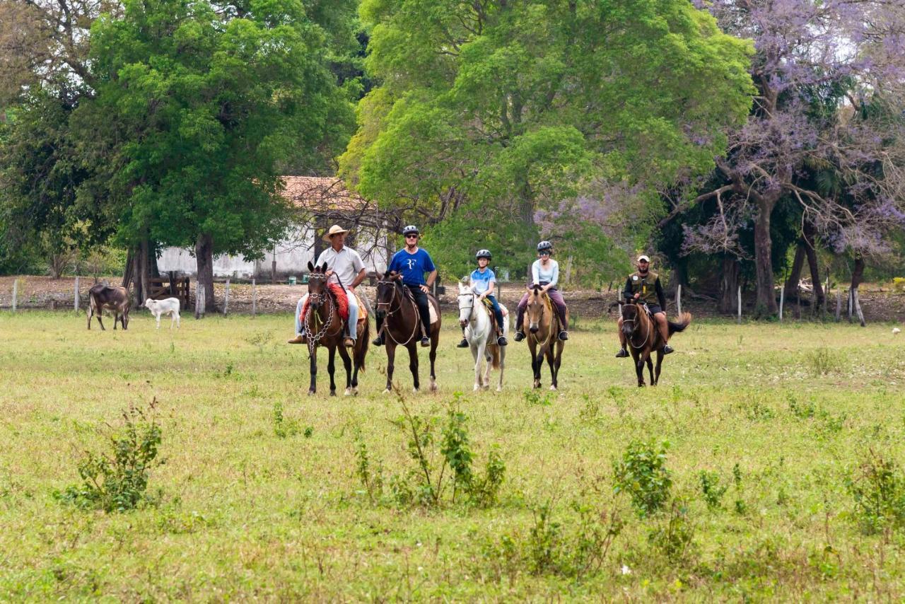 Pousada Fazenda Xaraes Todos os Santos Eksteriør billede