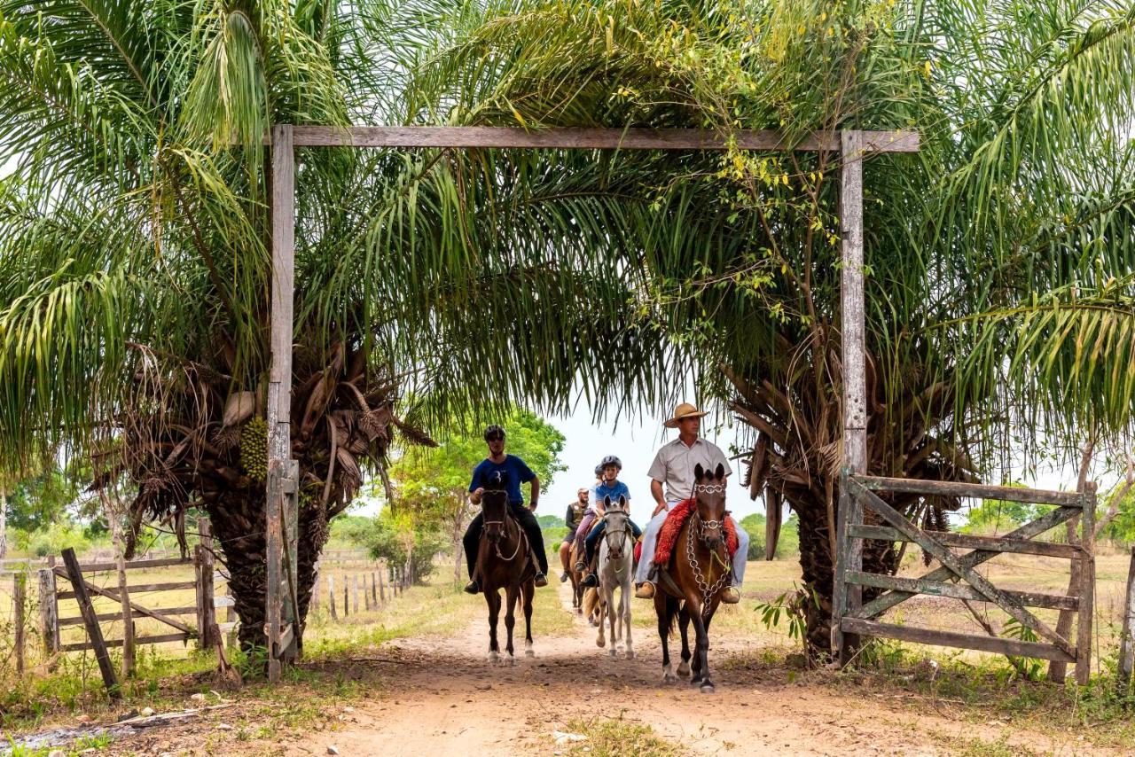 Pousada Fazenda Xaraes Todos os Santos Eksteriør billede