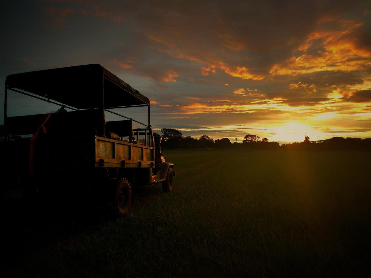 Pousada Fazenda Xaraes Todos os Santos Eksteriør billede