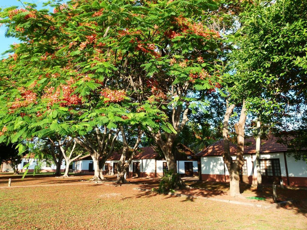 Pousada Fazenda Xaraes Todos os Santos Eksteriør billede