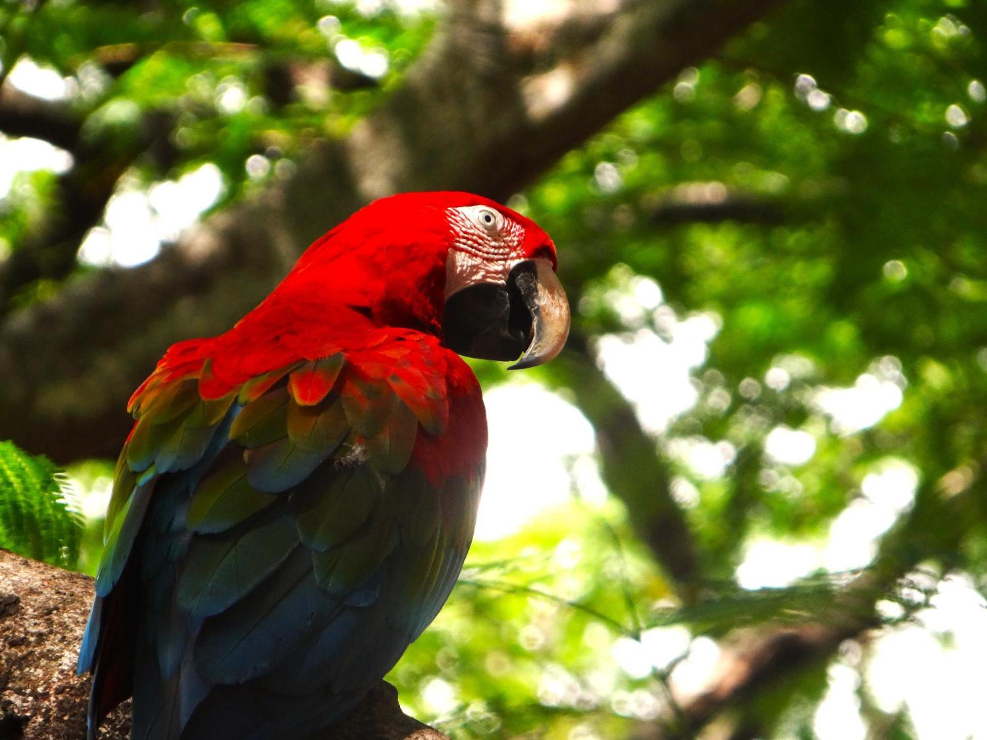 Pousada Fazenda Xaraes Todos os Santos Eksteriør billede
