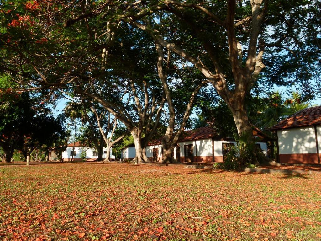 Pousada Fazenda Xaraes Todos os Santos Eksteriør billede