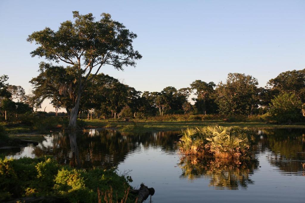 Pousada Fazenda Xaraes Todos os Santos Eksteriør billede